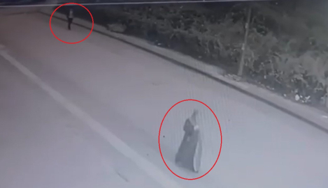 Yolda yürüyen kadının poşetteki telefonunu çalan kapkaççı kamerada