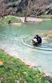 Suyla çevrili alanda mahsur kalan köpeği itfaiye eri kurtardı