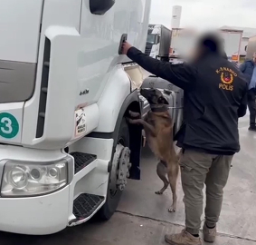 TIR'da 53 kilo skunk ele geçirildi; 2 gözaltı
