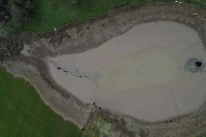 Göletin suyu boşalınca balıklar açıkta kaldı