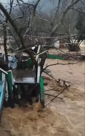 Yalova’da sağanak nedeniyle dereler taştı, 5 büyükbaş öldü