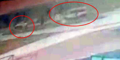 Öğrenci servis minibüsü ile otomobil çarpıştı: 13 yaralı (2)