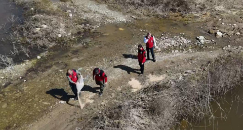 Aydın'da flamingolar için yemleme çalışması