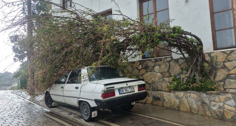 Bodrum’da tam fırtına günlük yaşamı olumsuz etkiledi