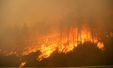 2025'te ihmal, dikkatsizlik, kasıt ve kazadan 1933 orman yangını çıktı