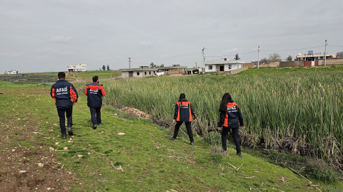 Mardin'de kayıp Alzheimer hastası kadını arama çalışmaları 2'nci gününde (2)