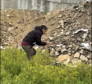 Göç yolundaki leylek tüfekle vuruldu