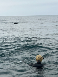 MSB: İğneada açıklarında tespit edilen mayın imha edildi