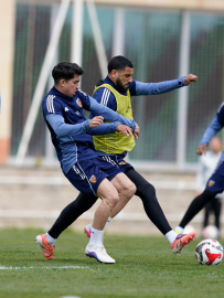 Zecorner Kayserispor'da, Fenerbahçe mesaisi