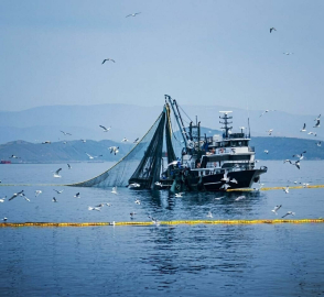 Denizlerde av yasağı 15 Nisan'da başlıyor