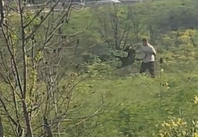 Avcılar'da köpeğe kemerle vuran kişi kamerada