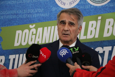 Şenol Güneş: Milli takımın çeyrek finale kadar rahat gelebilecek bir görüntüsü var