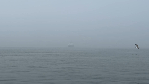 İstanbul'da sis etkili oluyor; gemi trafiği askıya alındı