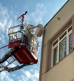 Oğul veren bal arıları nedeniyle yaya ve araç trafiği durdu