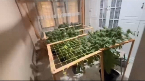 Pendik’te uyuşturucu operasyonu: 2 şüpheli tutuklandı