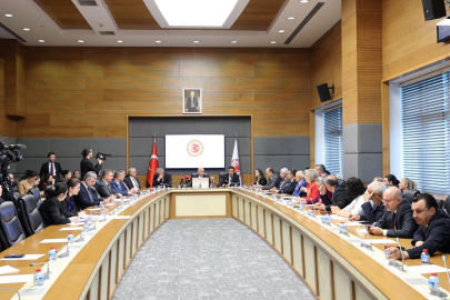 İçişleri Bakanlığı Müşaviri Karaca: Sahipsiz sokak hayvanlarının yüzde 78'i toplandı