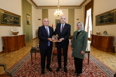 TBMM Başkanı Kurtulmuş, Kamu Başdenetçisi Akarca'yı kabul etti