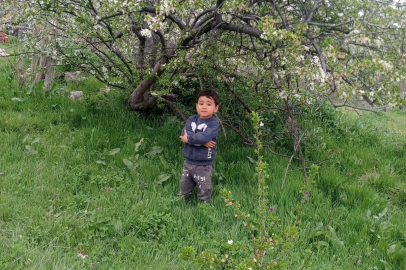 Kamyonet çarpması sonucu ölen Yakup Can'ın dedesi: Babaannesine koşuyordu