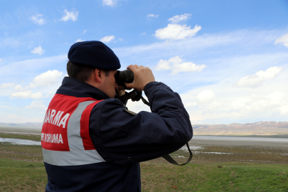 Van'da jandarma flamingolar için 7/24 denetimde / Ek fotoğraflar