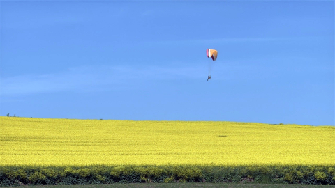 Sarı renge bürünen kanola tarlası üzerinde paramotorla uçtu