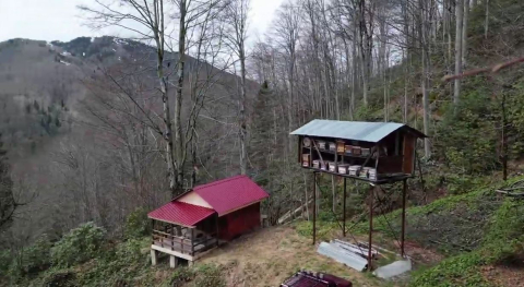 Ayının, demir direğe tırmanıp kovanlara ulaşmaya çalıştığı anlar kamerada