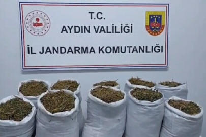 Kuşadası'nda uyuşturucu operasyonu: 2 gözaltı
