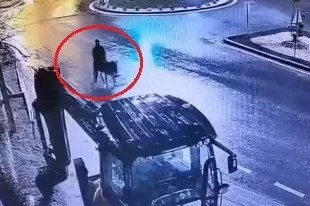 Kuyumcu dükkanından ziynet eşyası çalıp, eşekle kaçan sanığına 9 yıl 7 ay hapis