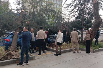 Ankara'da kuvvetli rüzgar; ağaçlar devrildi, araçlar zarar gördü