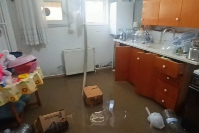 Yeşilırmak Nehri taştı, bazı evleri su bastı