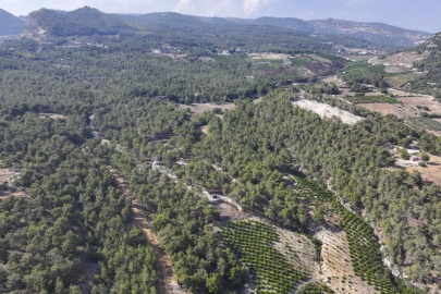 Mersin’de ormanlık alanlara giriş yasaklandı