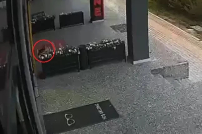 Otomobil, site duvarına çarptı; kaza ve son anda kaçan kedi kamerada