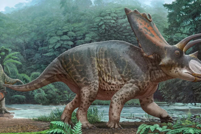 Tayland'da yeni bir dinozor türüne ait kalıntılar bulundu
