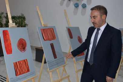 Anadolu ve Mezopotamya'da kullanılan 24 adet antik mührün makro fotoğraflarını sergilediler