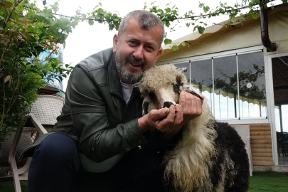 Özenle büyüttüğü kuzusu 'Abbas' yoldaşı oldu