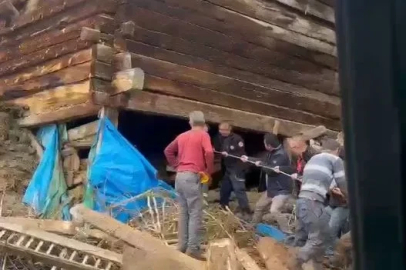 Kastamonu'da ağıl çöktü: 1 ölü