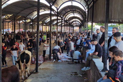 Şanlıurfa’da kurban kesim alanlarında hareketlilik