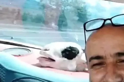 Kurbanlık koyunuyla yolculuğu dikkat çekti