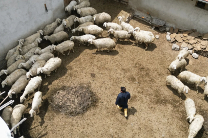 Hayvan sevgisiyle sağlığına kavuştu; köyüne dönüp modern tarım ve hayvancılığa başladı / Ek fotoğraflar