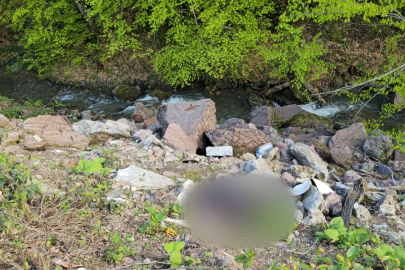 Binlerce saat kamera kaydı incelendi, cinayet şüphelisi bir günde yakalandı