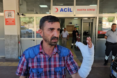 Şanlıurfa’da kurban kesimi sırasında 232 kişi yaralandı