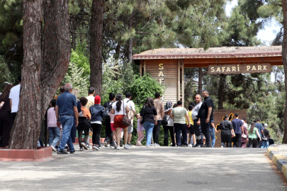 Gaziantep Doğal Yaşam Parkı’nda ziyaretçi yoğunluğu