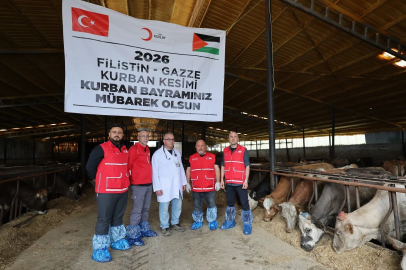 Türk Kızılay'ın vekaletle kurban kesimleri sürüyor