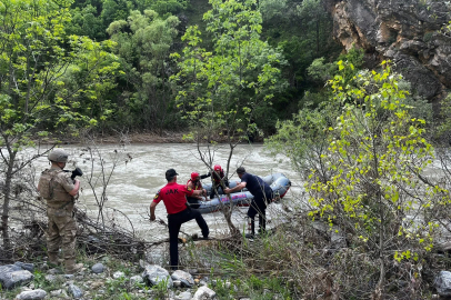 Pülümür Çayı’nda ağaçta mahsur kaldı, ekipler kurtardı