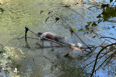 Tunca Nehri'nde erkek cesedi bulundu