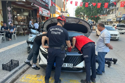 Kaputa saklanan yavru kedi, itfaiyeyi ekibini peşinden koşturdu