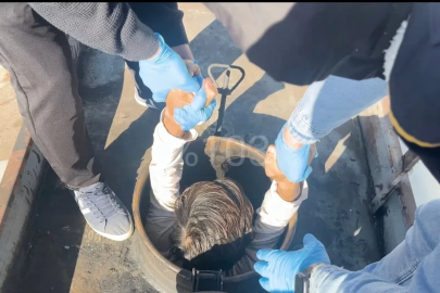 Durdurulan tankerden 30 düzensiz göçmen çıktı