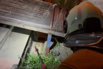 Hatay'da evin bahçesine giren yılan, doğaya salındı