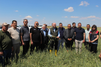 TZOB Genel Başkanı Bayraktar: Buğday rekoltesinin 23 milyon tona yaklaşmasını bekliyoruz