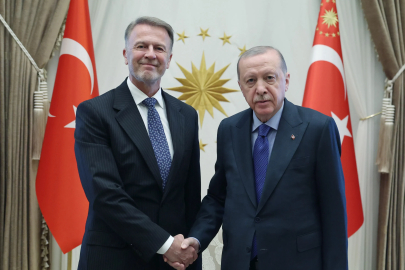 Cumhurbaşkanı Erdoğan, güven mektuplarını kabul etti/Fotoğraflar