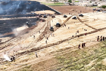 Şanlıurfa’da anız yangınları 